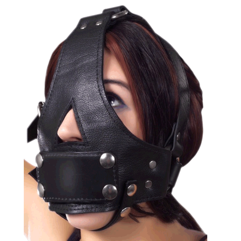 Bishop Head Harness with Removable Gag